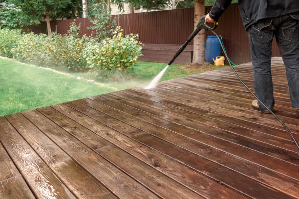 Best Driveway Pressure Washing  in Whitmore Lake, MI